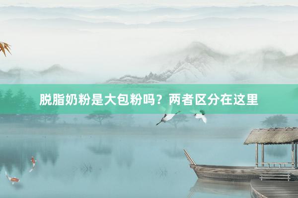 脱脂奶粉是大包粉吗？两者区分在这里