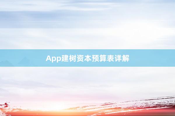 App建树资本预算表详解