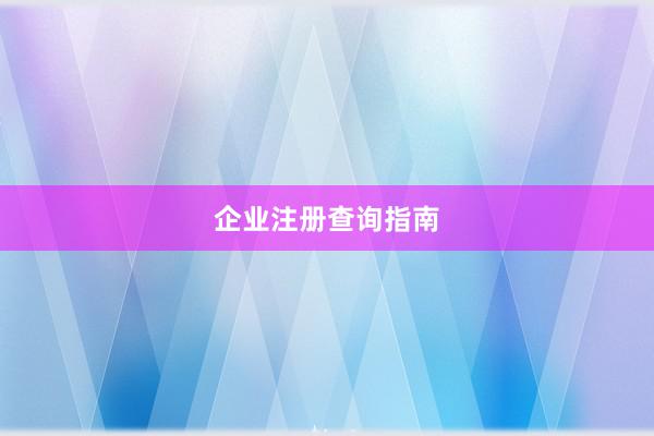 企业注册查询指南