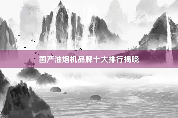 国产油烟机品牌十大排行揭晓